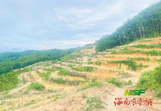 首页| 和记H88集团怡情博娱官网