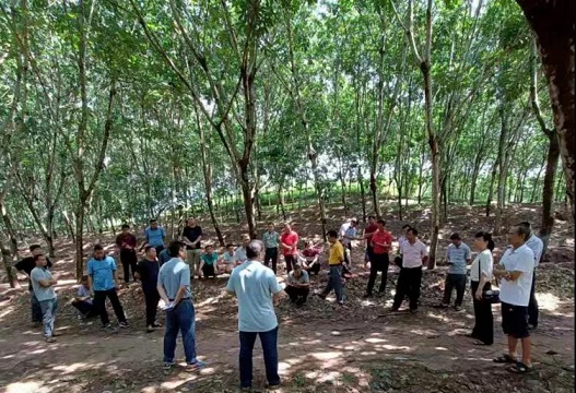 首页| 和记H88集团怡情博娱官网