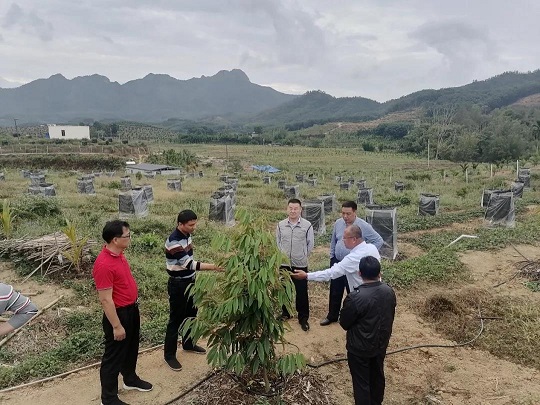 首页| 和记H88集团怡情博娱官网