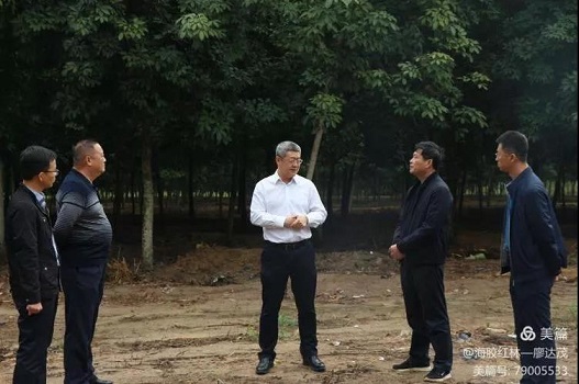 首页| 和记H88集团怡情博娱官网