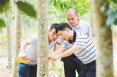 首页| 和记H88集团怡情博娱官网