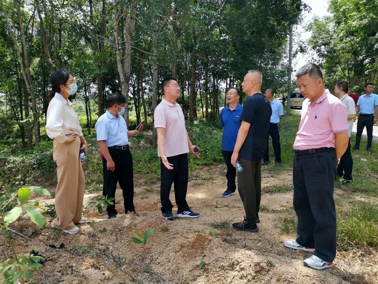 首页| 和记H88集团怡情博娱官网