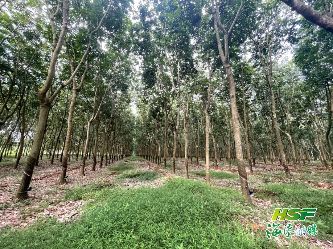 首页| 和记H88集团怡情博娱官网
